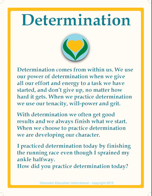 QoC: Determination - English